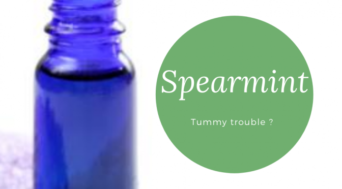 Spearmint – Tummy support